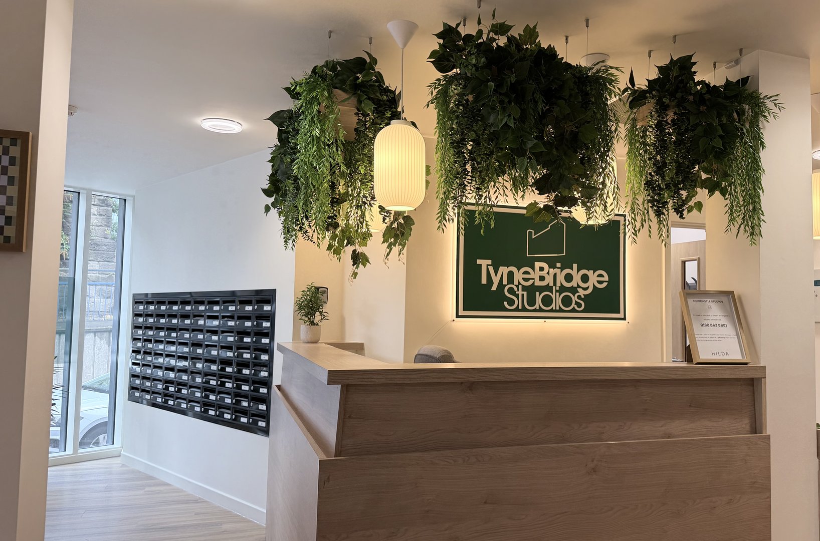 Refurbished reception area with timber desk, hanging plants and mailboxes at TyneBridge Studios, Newcastle